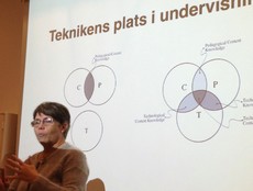 Kvinna föreläser framför projicerad presentation.