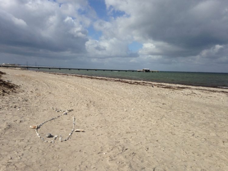 Formen av haj utlagd med sten på sandstranden.