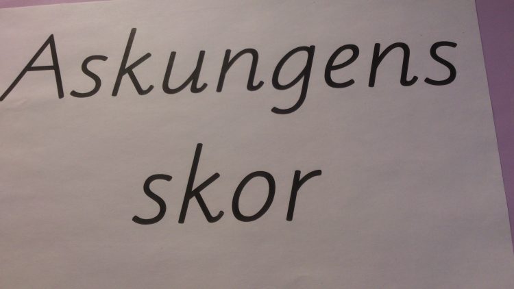 Texten "Askungens skor".