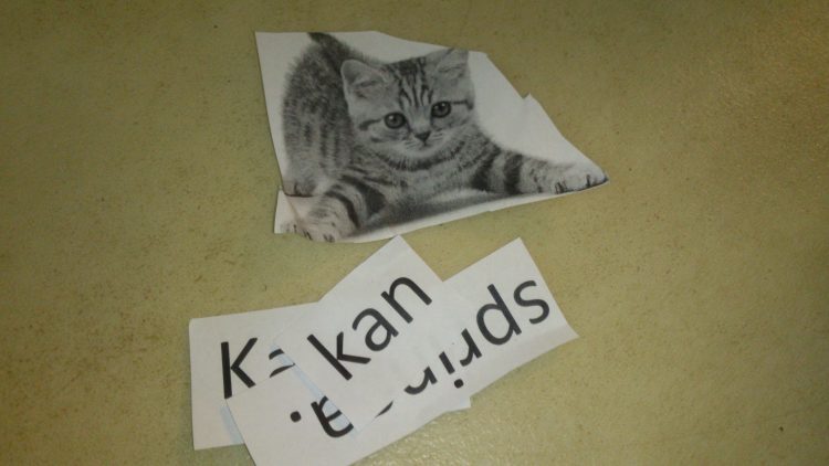 Utklippt bild på katt och ord om katt.