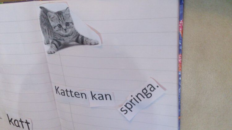 En katt och text om katten i häfte.