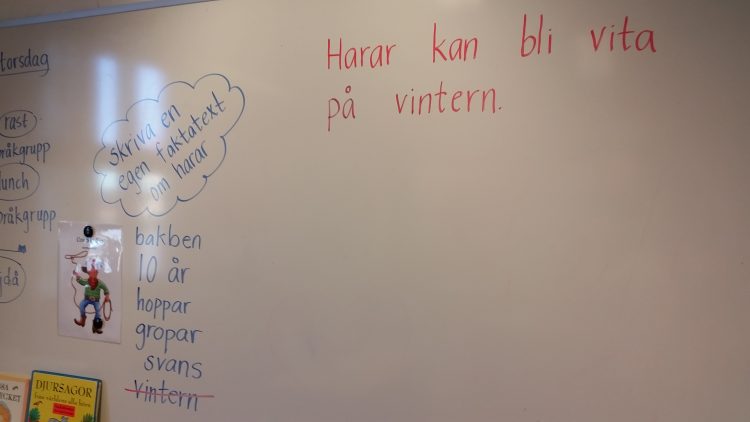 Skriven text om harar på tavla.