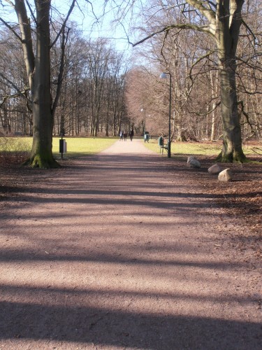 Grusad gång i park.