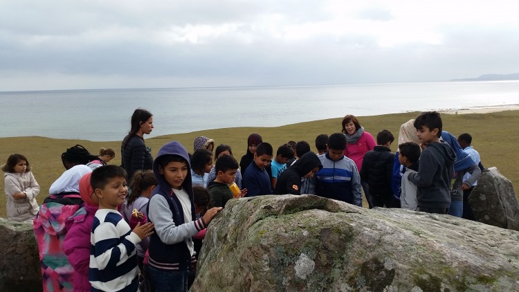 Klass och pedagoger samlade vid stor sten vid havet.