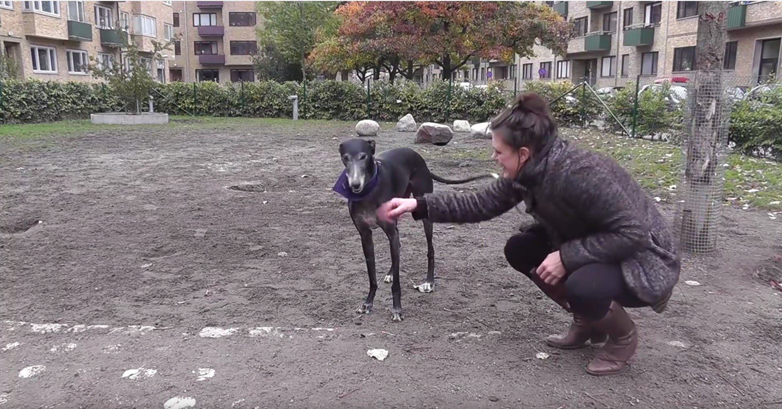 Josefin lockar på hunden.