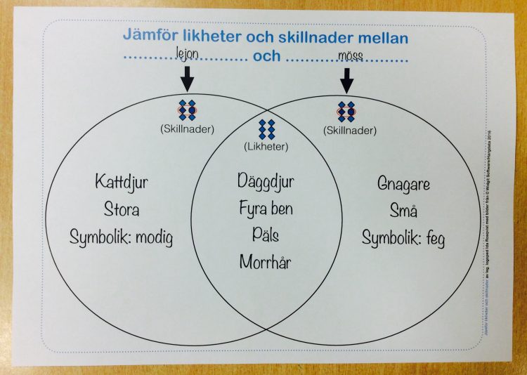 Tabell med likheter och skillnader.