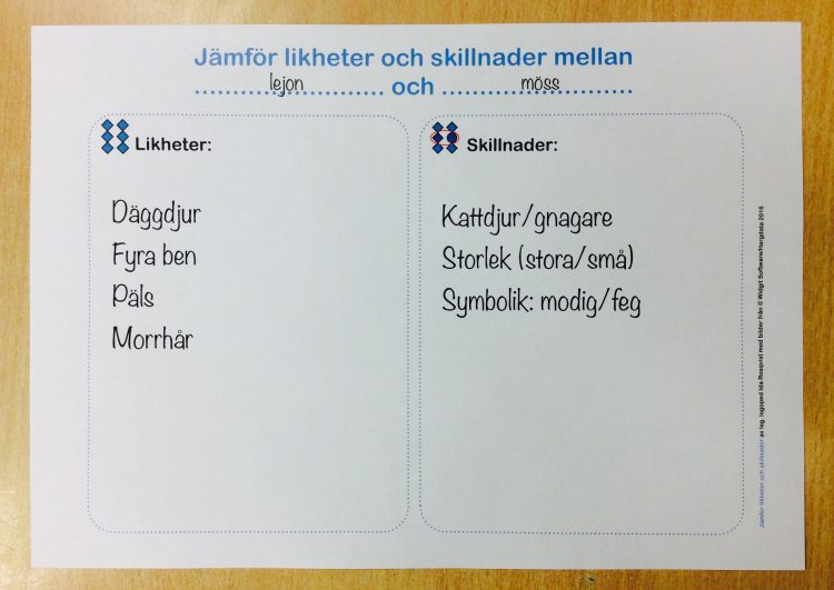 Tabell med likheter och skillnader.