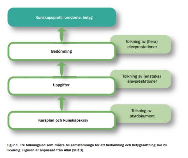 Sammankopplade rektanglar för bedömning.