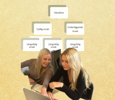 Elever tittar på dator.