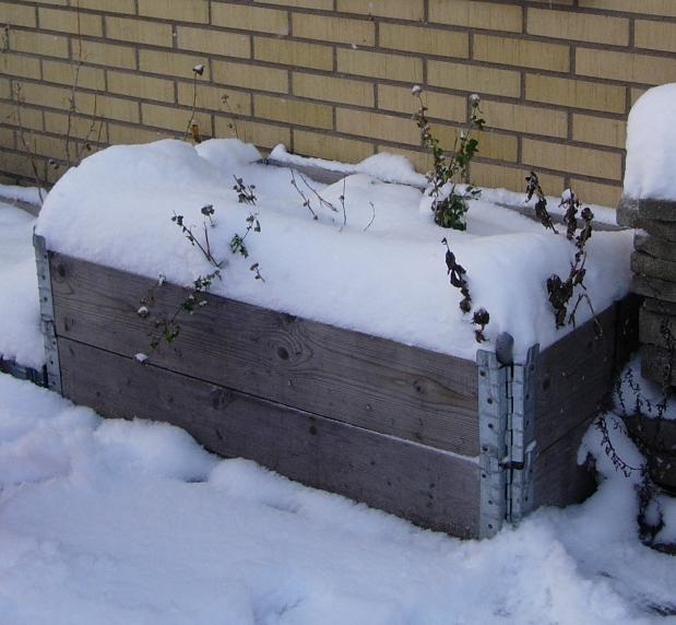 Översnöad odlingslåda.