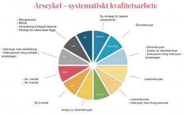 Cirkeldiagram som visar systematiskt kvalitetsarbete.