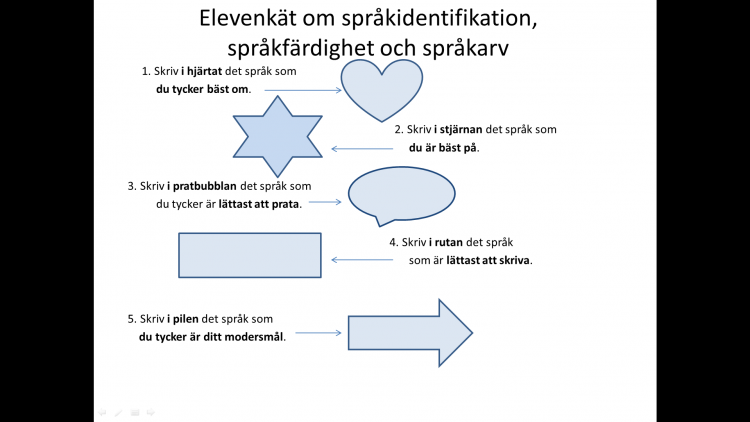 Enkät för hur man kan identifiera elevs språk.