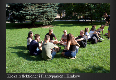 Elever sitter i park och samtalar.