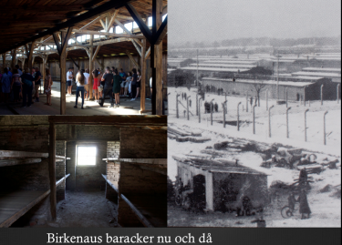 Birkenaus baracker nu och då.