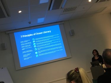 Kvinna framför projicerad presentation.