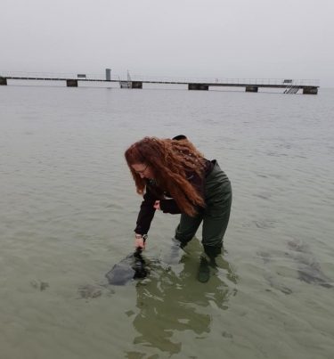 Katrina Fornell står i havet med vadarbyxor på och håvar.