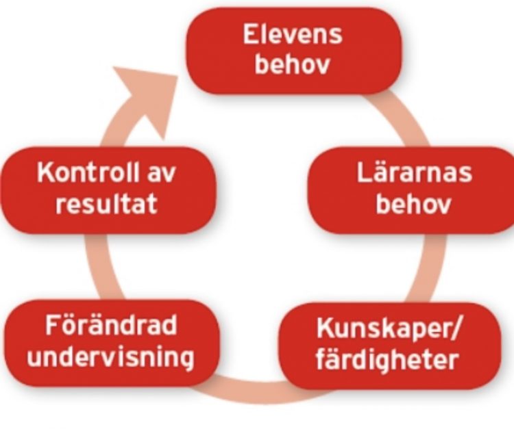 En cirkel med behov och färdigheter.