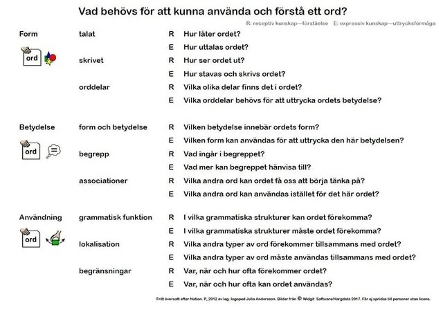 Lista och rubriken "Vad behövs för att kunna använda och förstå ett ord?"