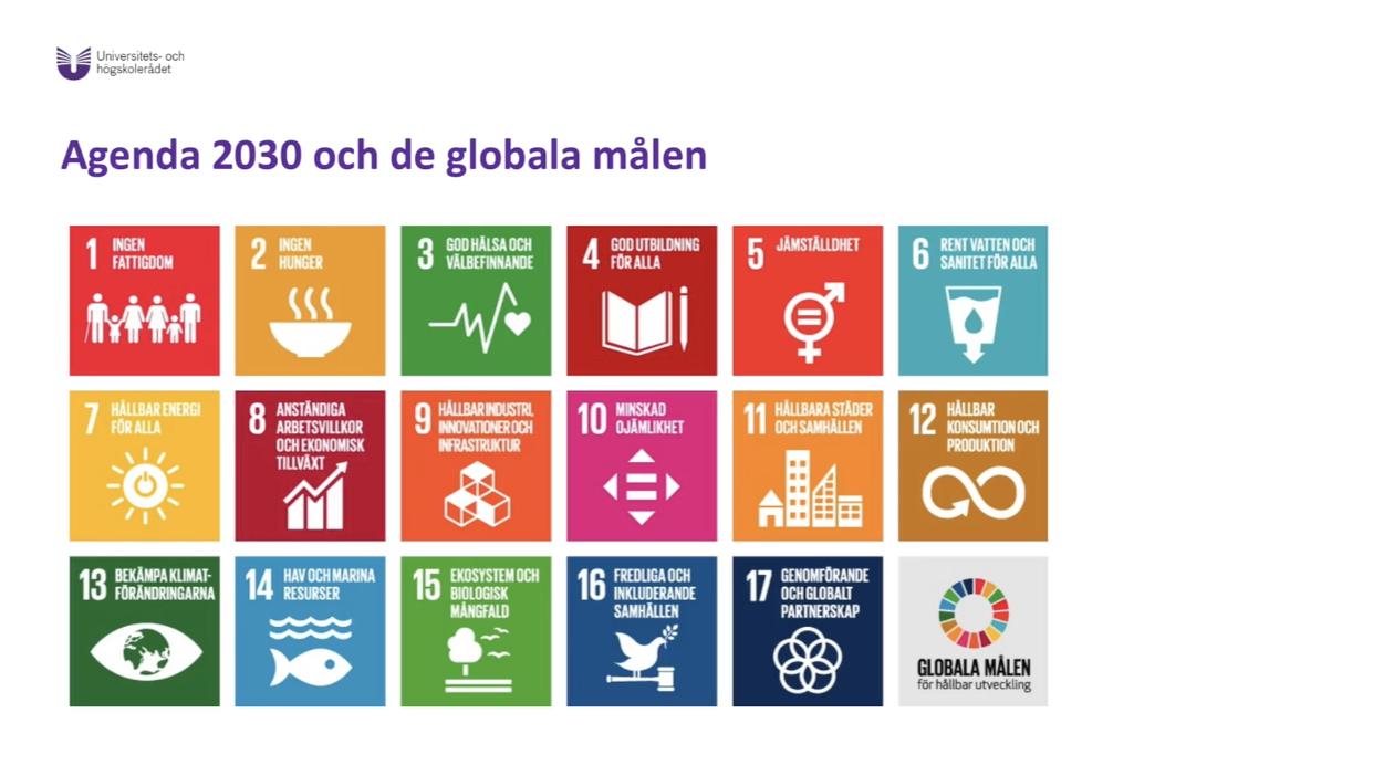 Symboler för Agenda 2030 och de globala målen.