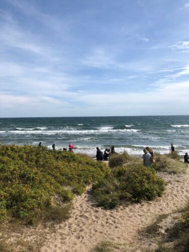 Vy över en sandstrand och vatten med höga vågor.