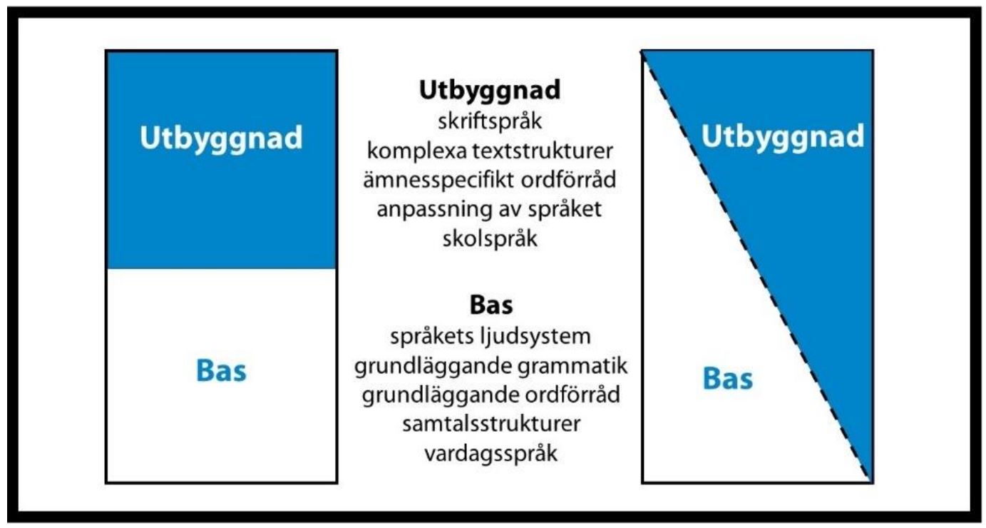 Figur visar hur stor del av språket som består av bas respektive utbyggnad.