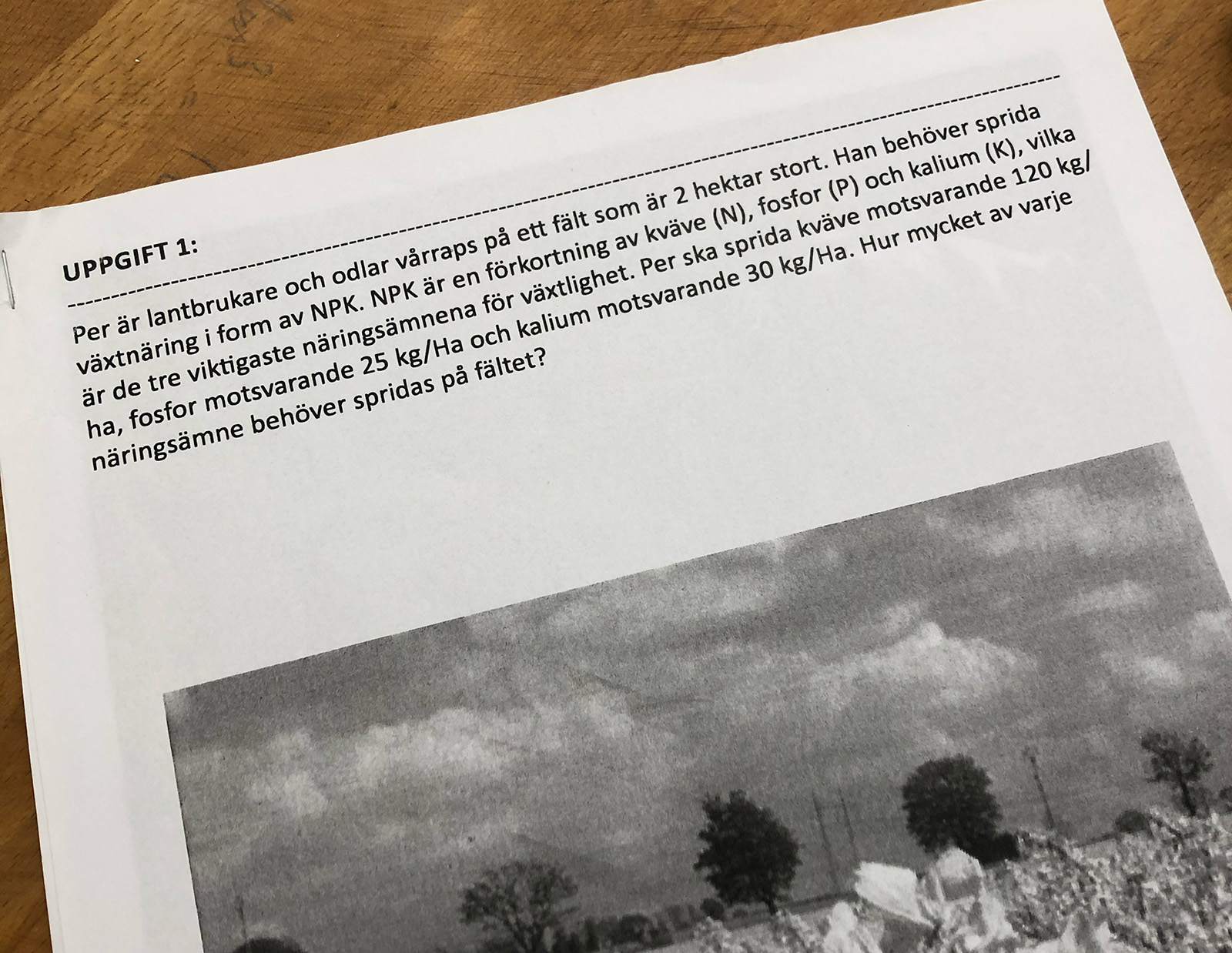 En pdf med uppgiften om raps.