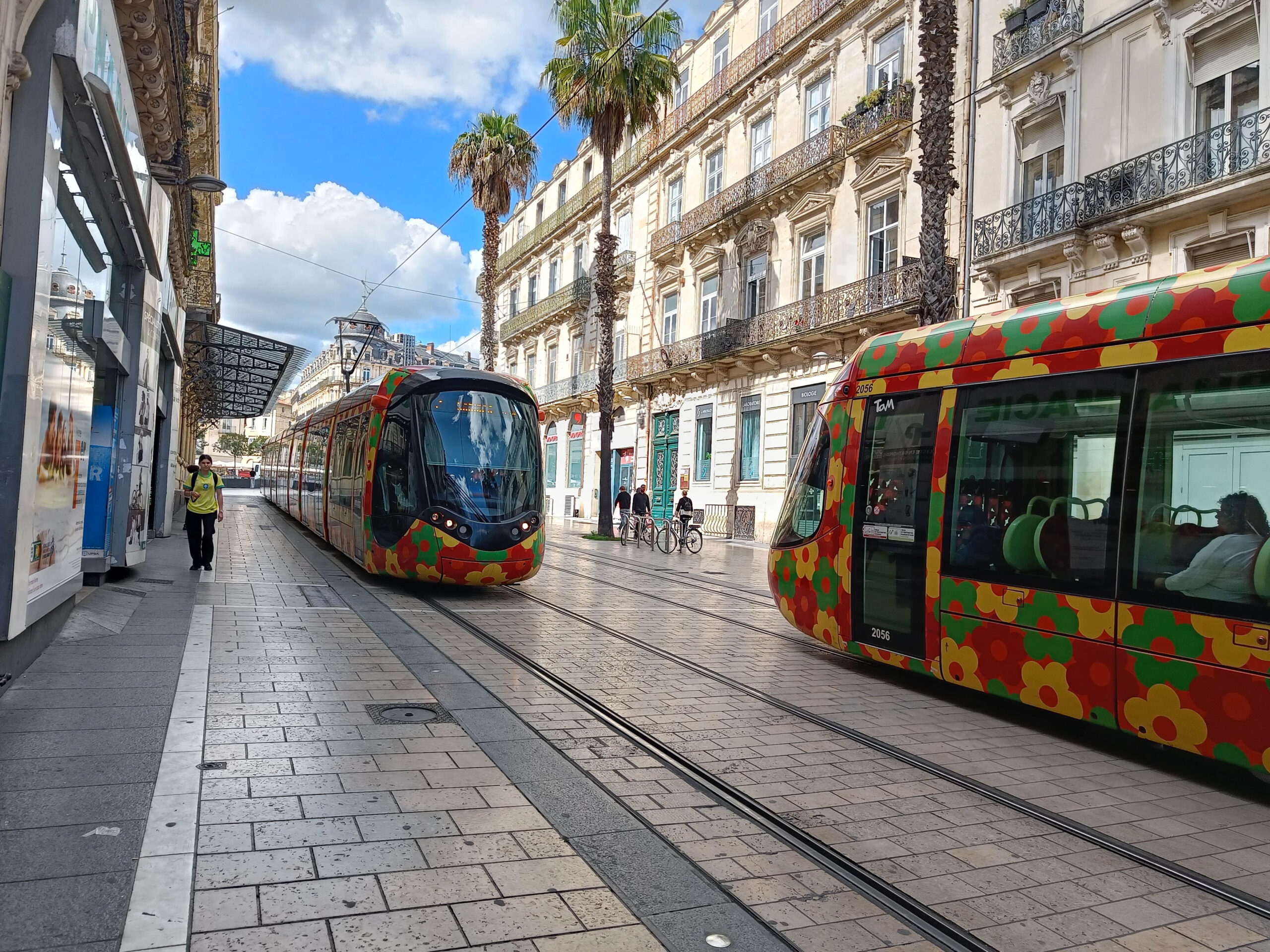 Färgglada blommönster pryder mötande spårvagnar i Montpellier.