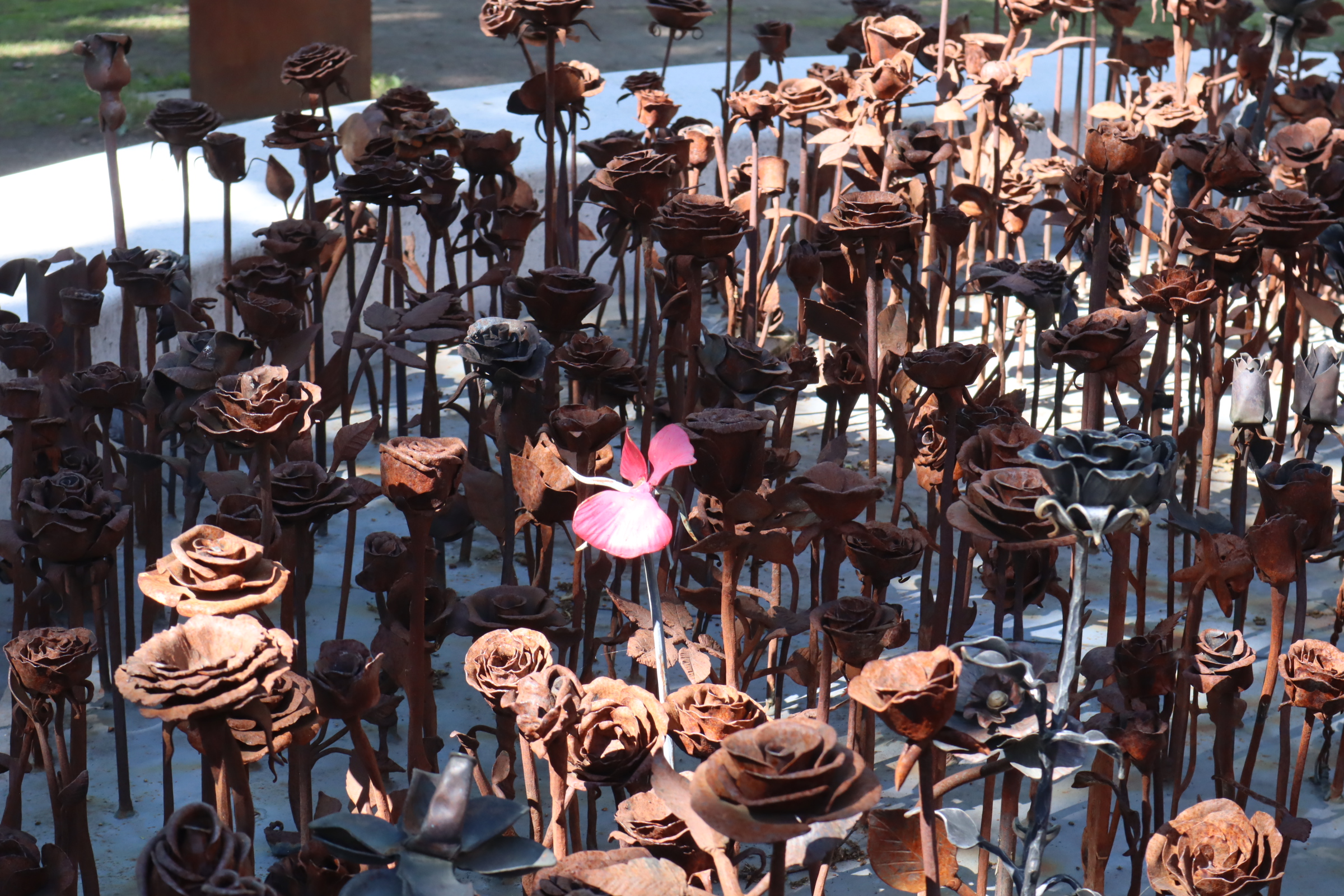 Järnrosor till minne av offren på Utøya.