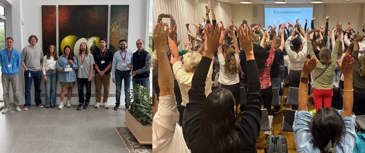 Skolledare och pedagoger sträcker armarna upp i luften.