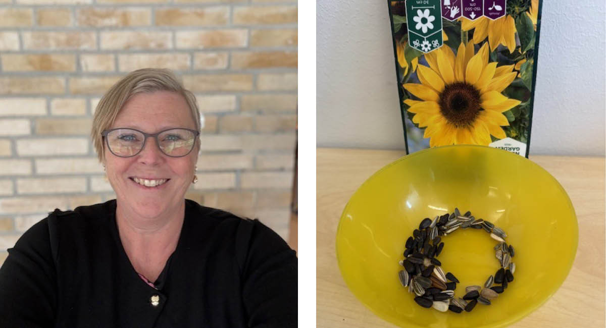 Bildkollage på pedagog och en skål med solrosfrön.