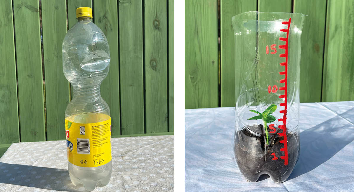 En petflaska med en målad linjal på. Inuti en liten planta i jord.