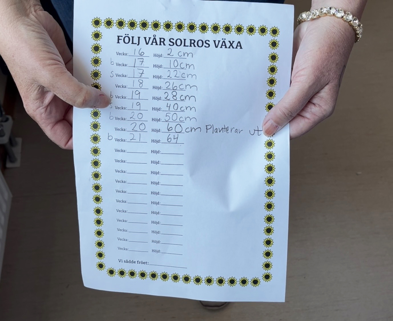 Arbetsblad med rubriken Följ vår solros växa med handskrivna noteringar om veckor och höjd, hålls i två händer.